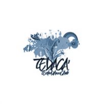 logo Tedacà